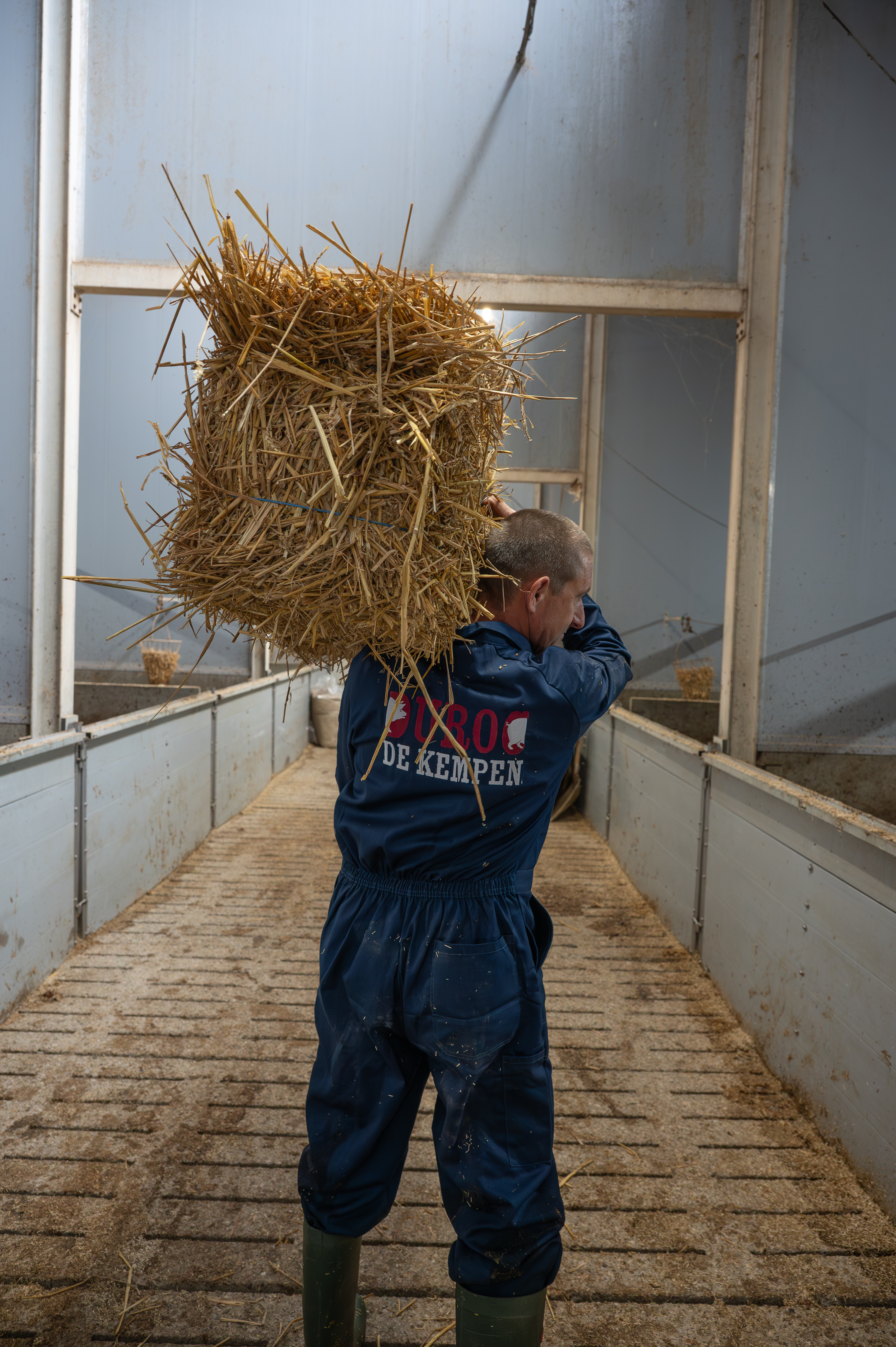 Frank Van Dijck aan het werk in de kijkgang